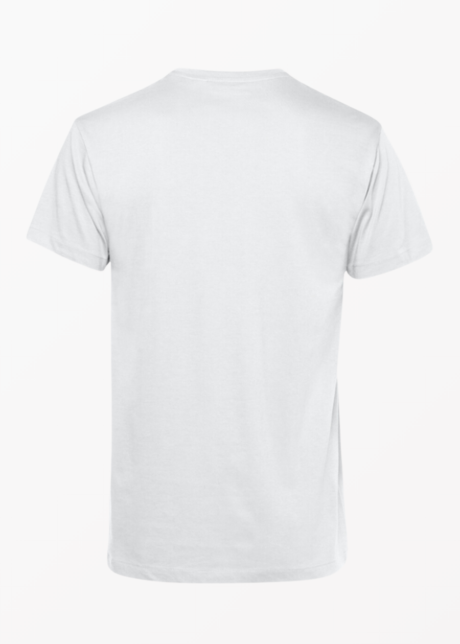 Polera Pencil Gato Maine Coon
