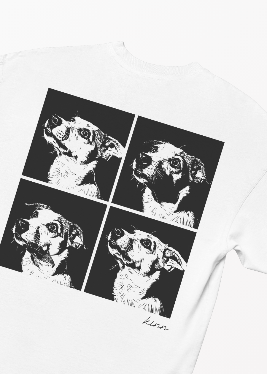 Polera 4 Frame Mestizo Bicolor Pelo Corto