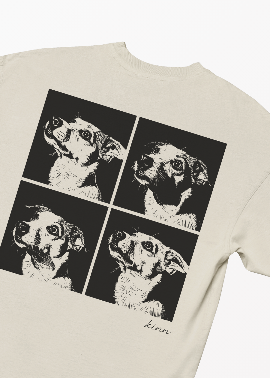 Polera 4 Frame Mestizo Bicolor Pelo Corto