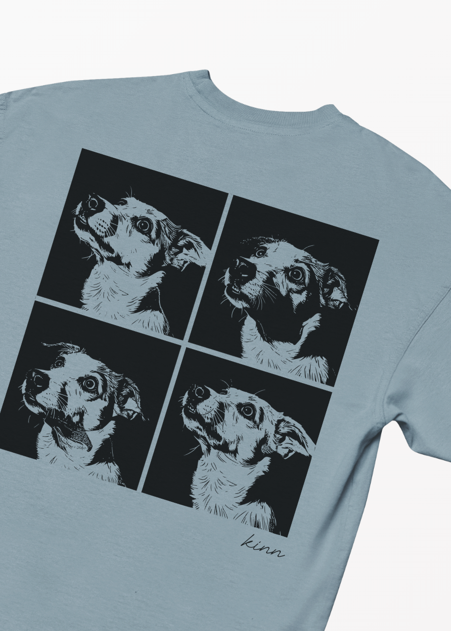 Polera 4 Frame Mestizo Bicolor Pelo Corto