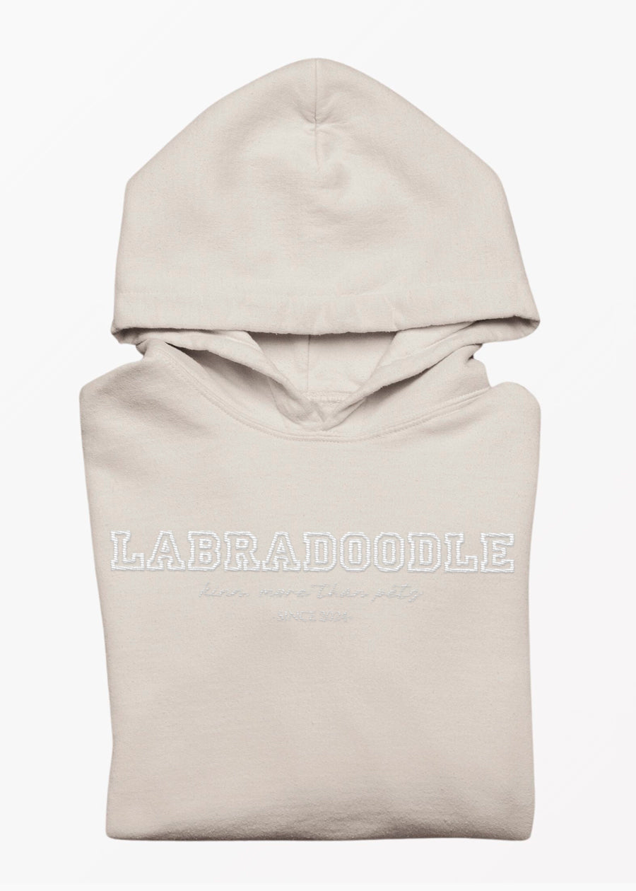 Polerón College Labradoodle